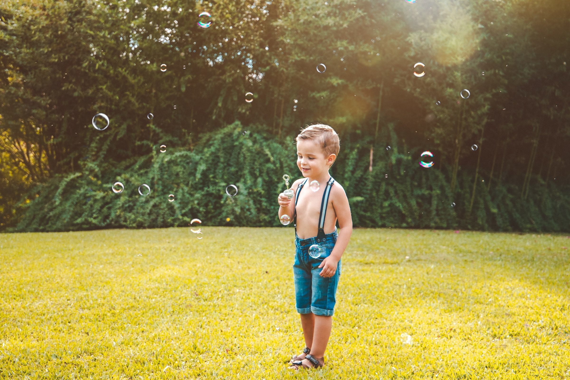 Foto de Fl&aacute;via Louise Fotografia 4