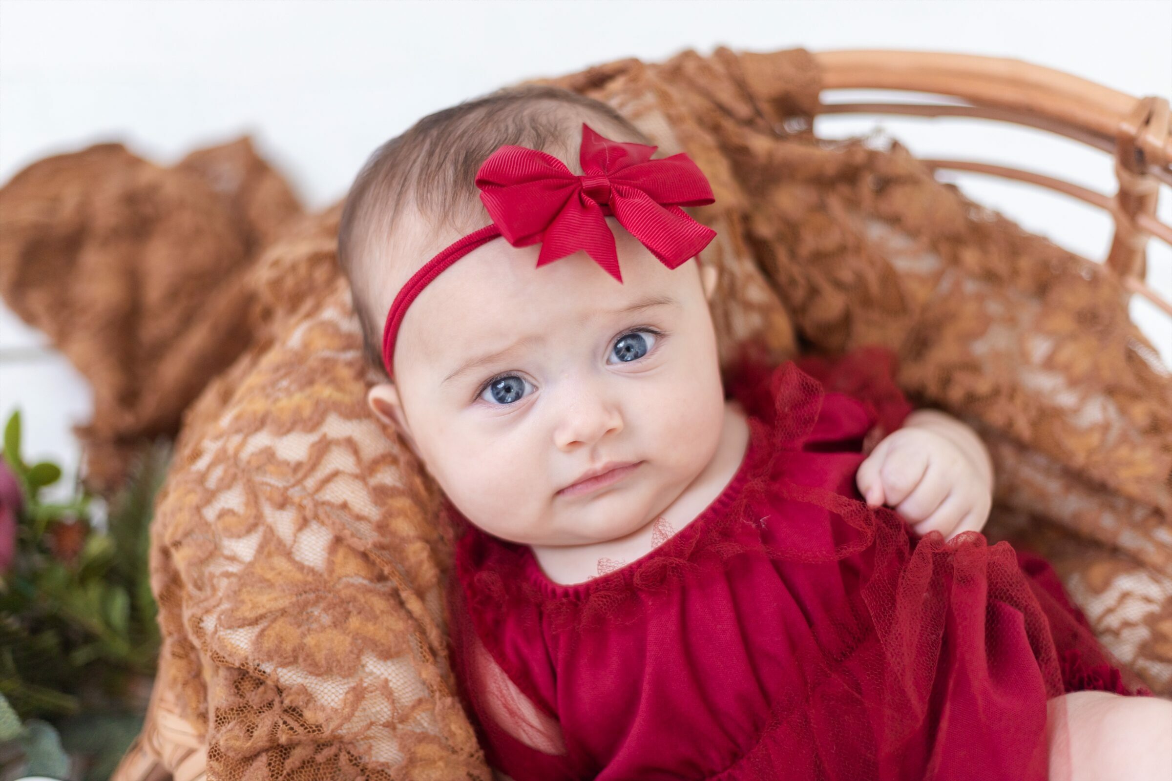 Foto de Fl&aacute;via Louise Fotografia 9