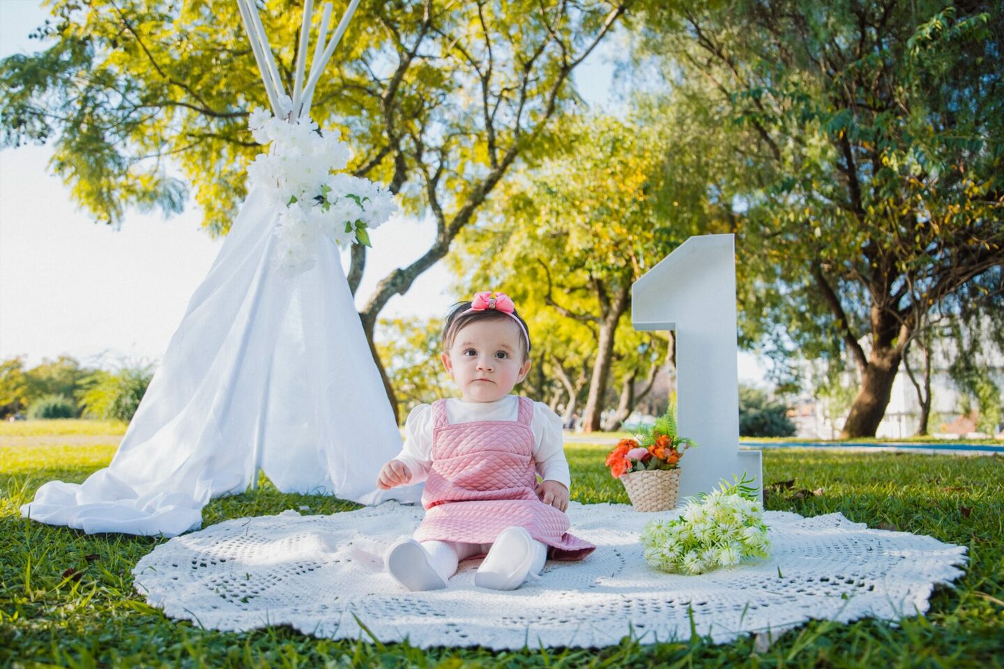 Ana Elisa | 12 Meses 