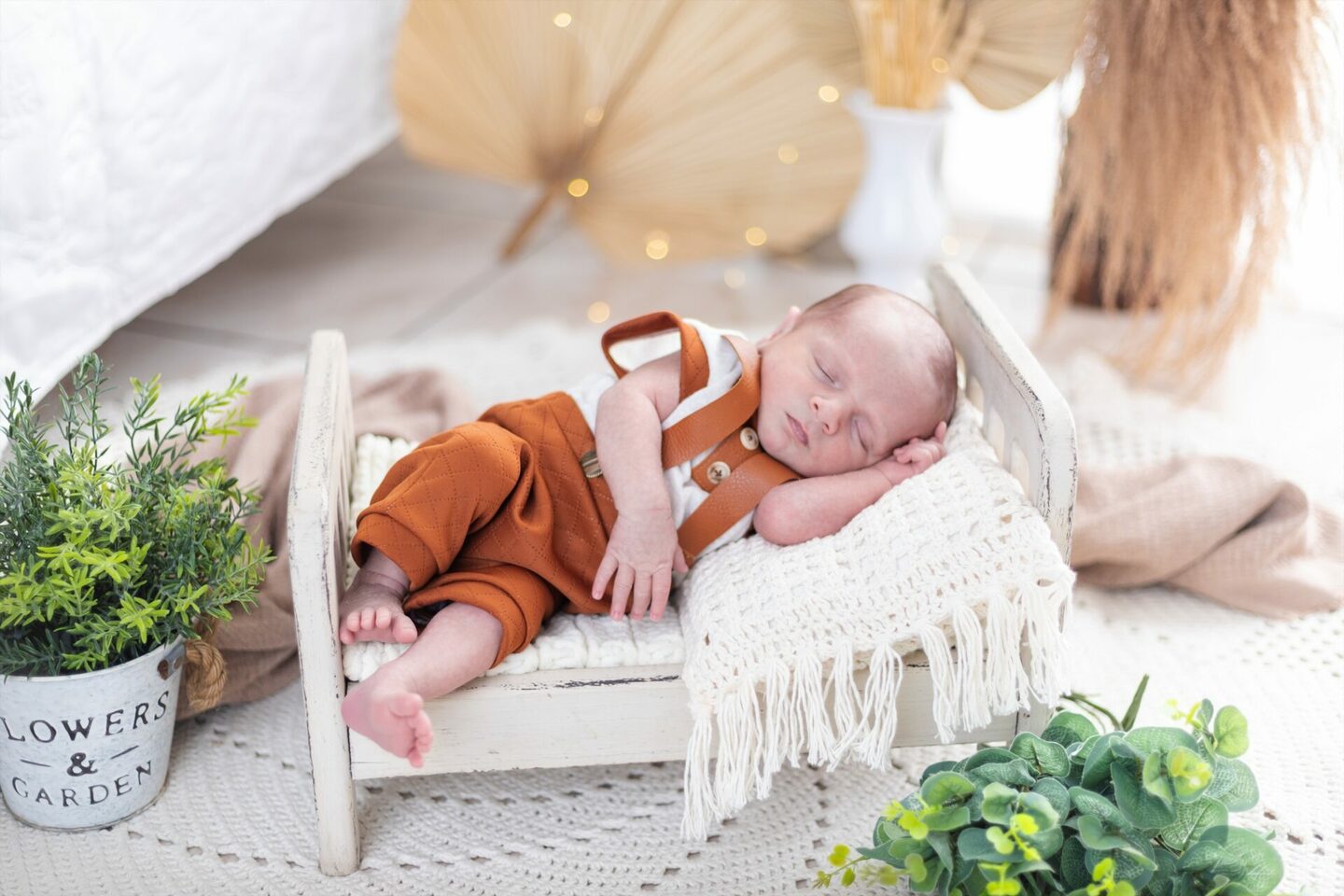 Cauã Miguel | 12 Dias